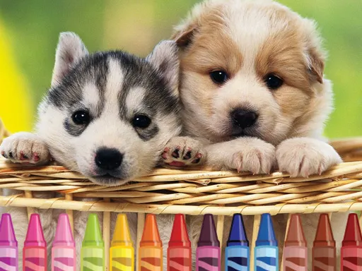 4GameGround - Puppy Coloring