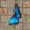 Butterfly Memory Match
