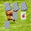 Chicken Memory Match