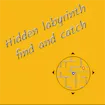Hidden labyrinth - find and catch