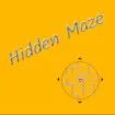 Hidden Maze