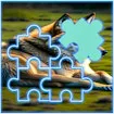 Wolf Tile Block Puzzle